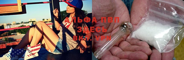 крисы Алексин