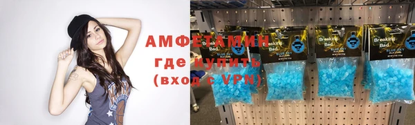 индика Алексеевка