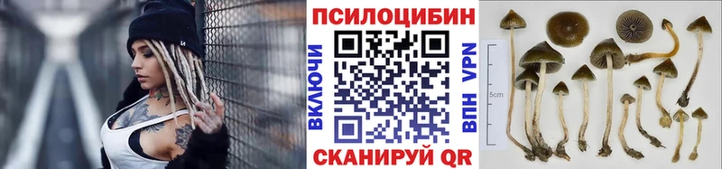 Псилоцибиновые грибы прущие грибы  Жигулёвск 